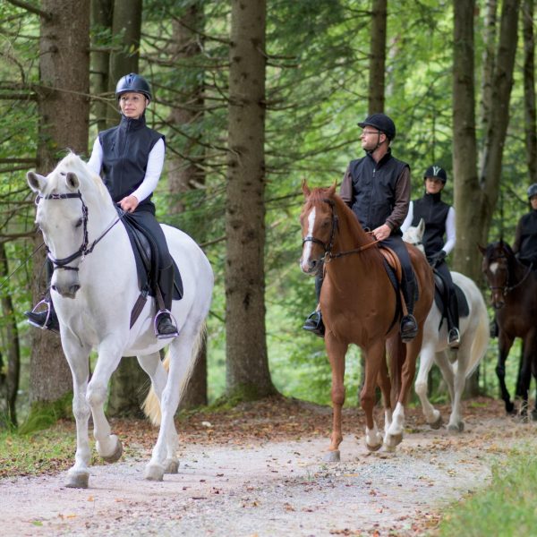 Cursusbundel paardentraining en verzorging - Afbeelding 10