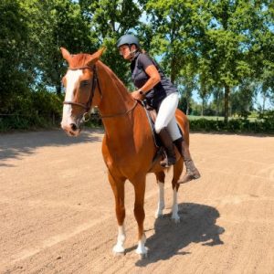 Online cursus leren paardrijden