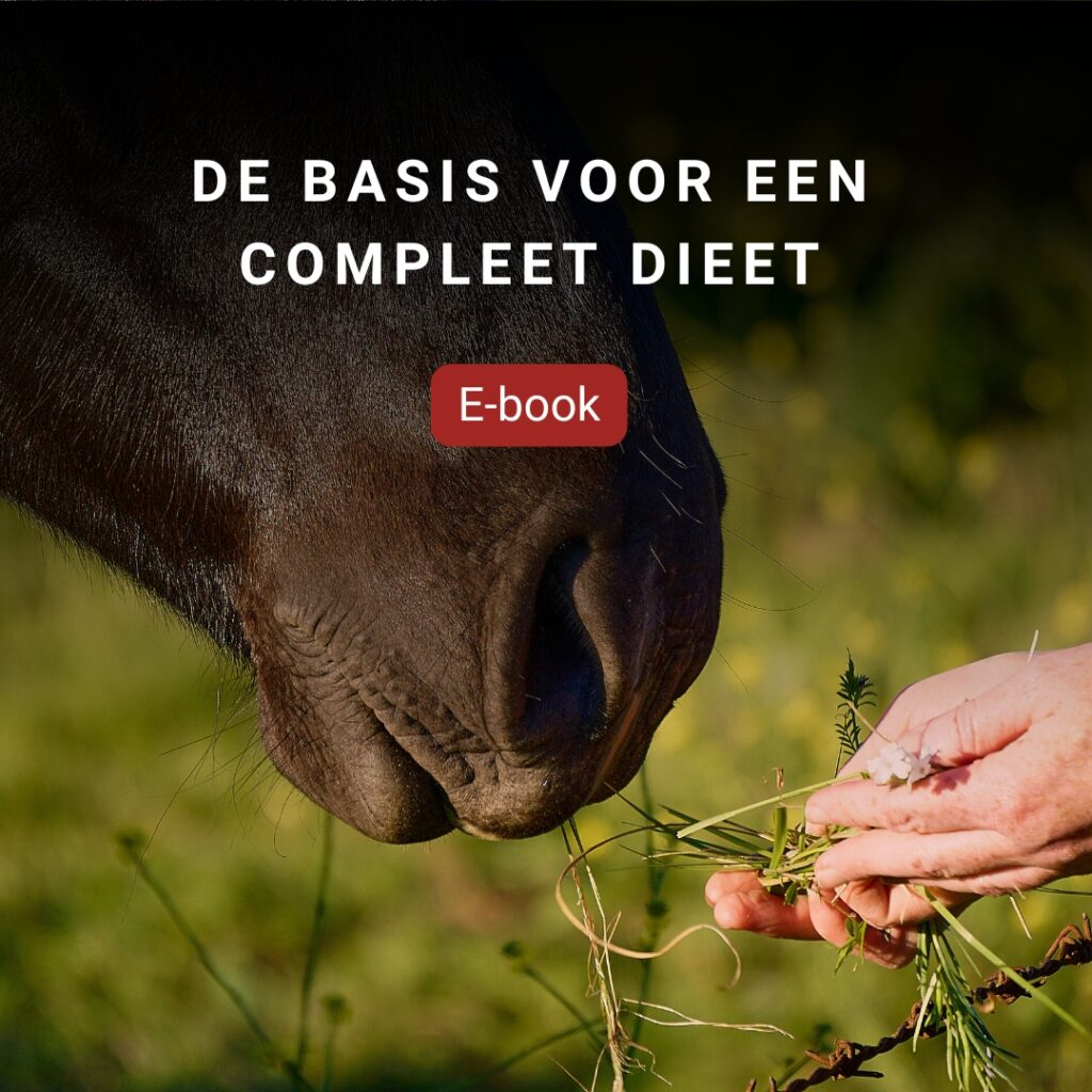 E-book cover over compleet dieet voor paarden