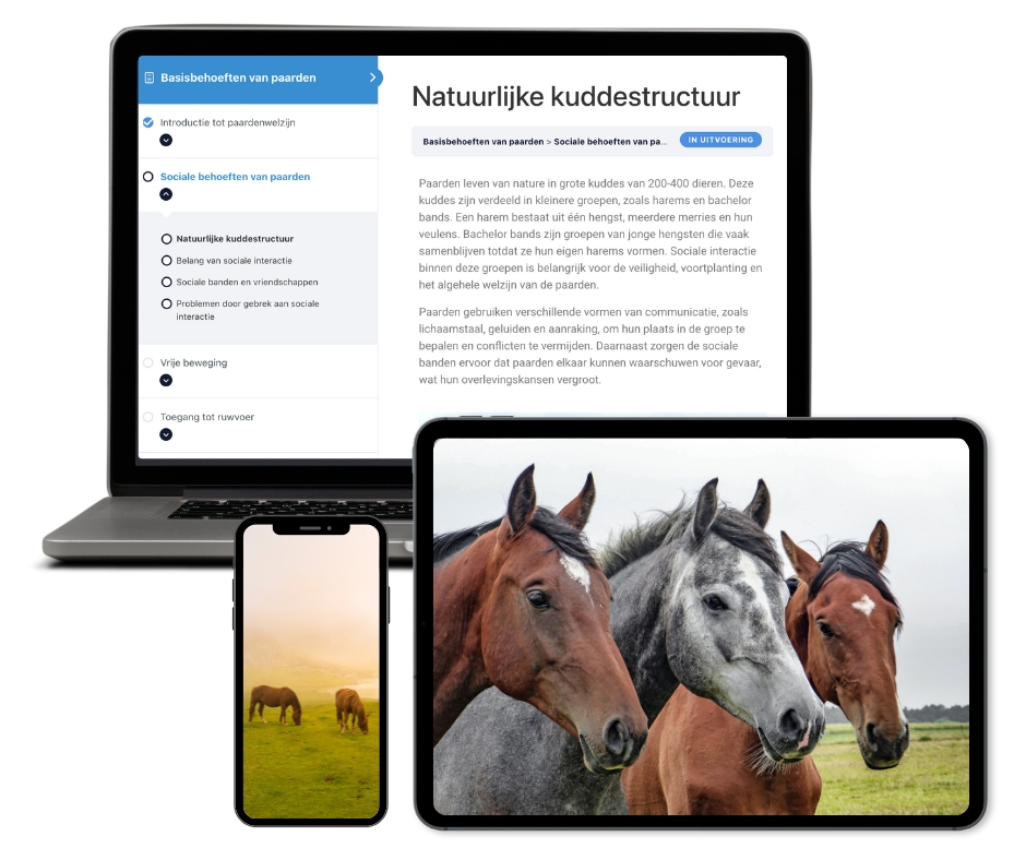 Online training lbasisbehoeften van paarden van Global Horse Academy op pc, tablet en mobiel