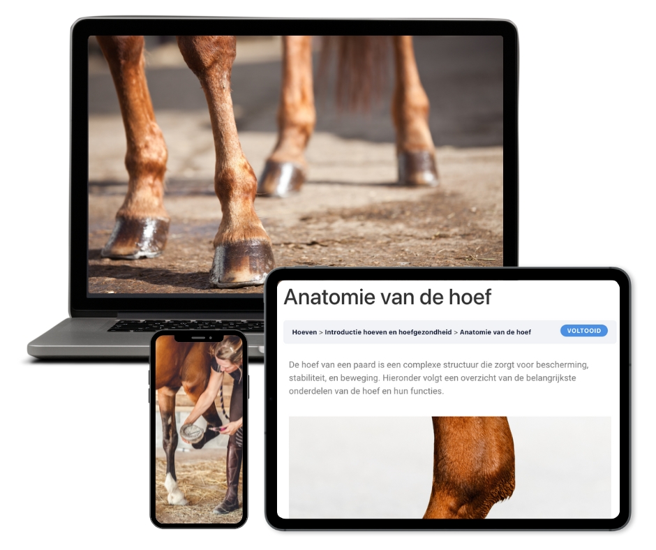 Online training hoeven en hoefgezondheid van Global Horse Academy op pc, tablet en mobiel