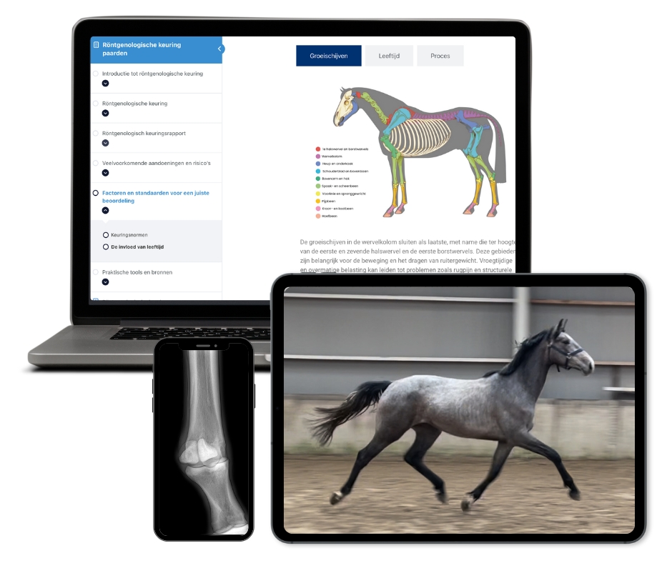 Online training röntgenologische keuring van Global Horse Academy op pc, tablet en mobiel