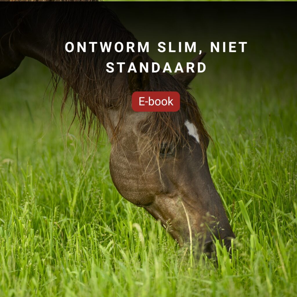 Cover van het e-book ontworm slim, niet standaard