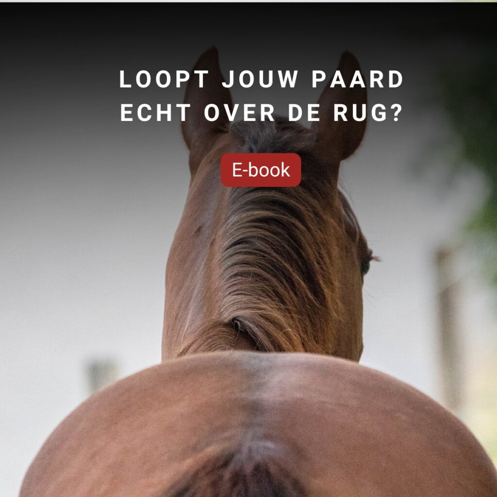 E-book cover over ruggebruik bij paarden, bovenaanzicht