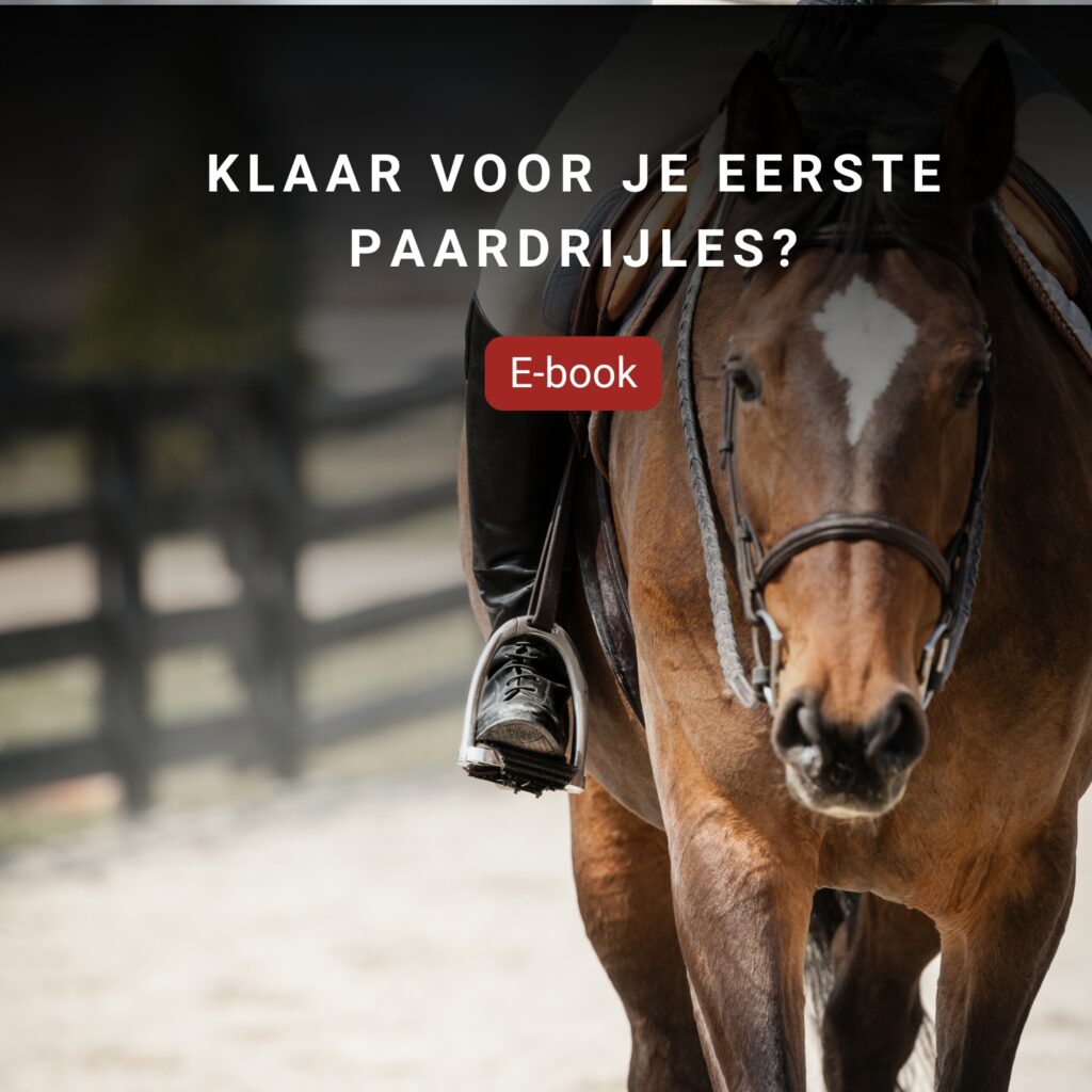 E-book cover over eerste paardrijles, paard in beeld