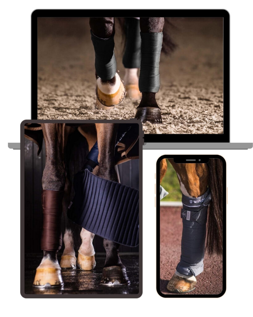 Online training bandageren van Global Horse Academy op pc, tablet en mobiel