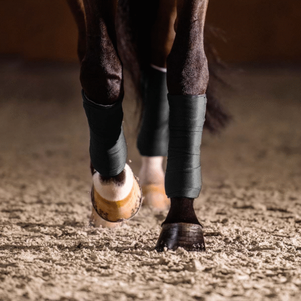 Cover van de online training bandageren Global Horse Academy