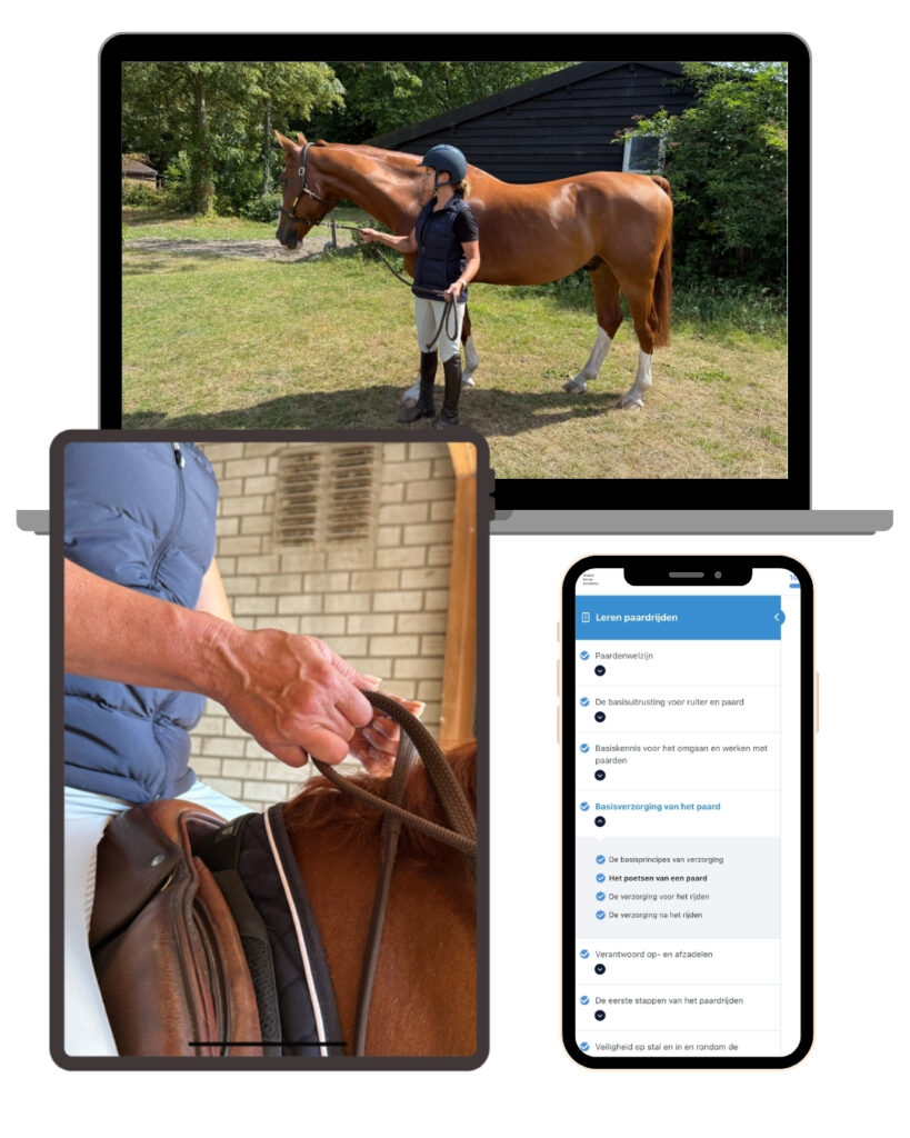 Online training leren paardrijden van Global Horse Academy op pc, tablet en mobiel