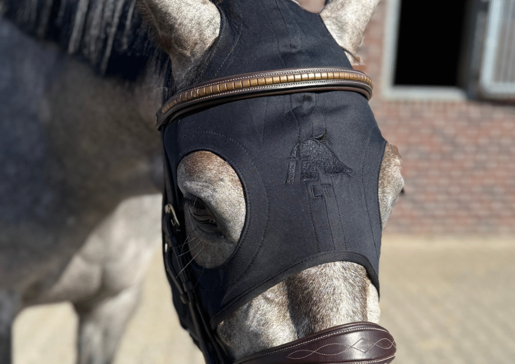 Close-up van paardenhoofd met calmingmasker en hoofdstel