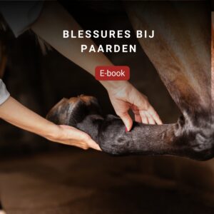 E-book blessures bij paarden
