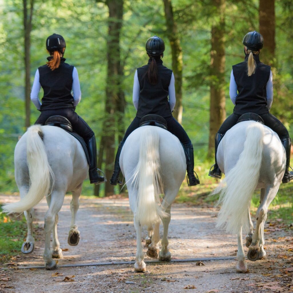 Drie ruiters te paard tijdens buitenrit in bos. achteraanzicht