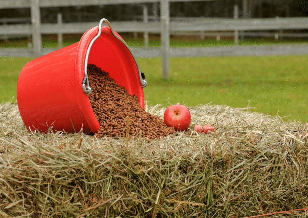 Omgevallen rode voeremmer met paardenbrokjes op hooi, appel ligt ernaast.