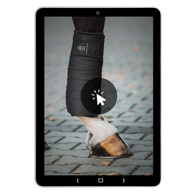 Paardenbeen met aangelegde bandage