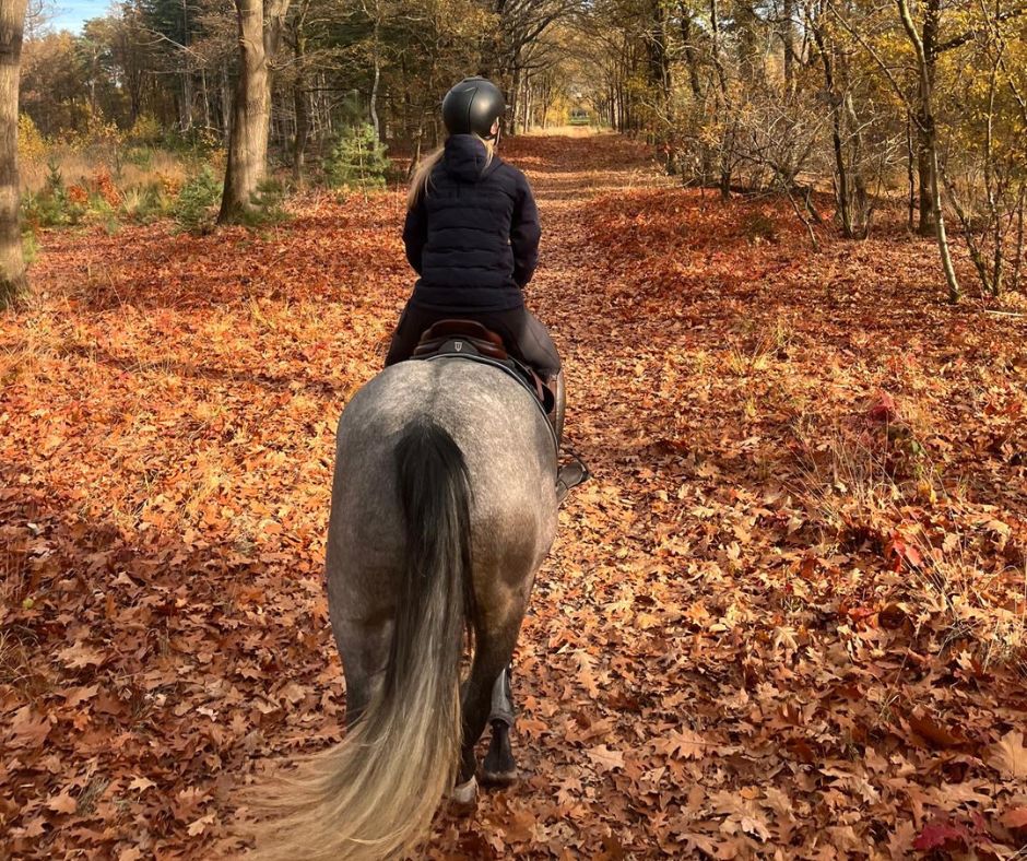 Ruiter te paard tijdens een buitenrit in bosrijke omgeving, gezien van achteren