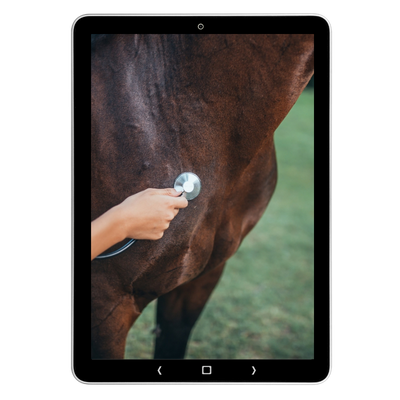Tablet met een stethoscoop op de schouder van een paard