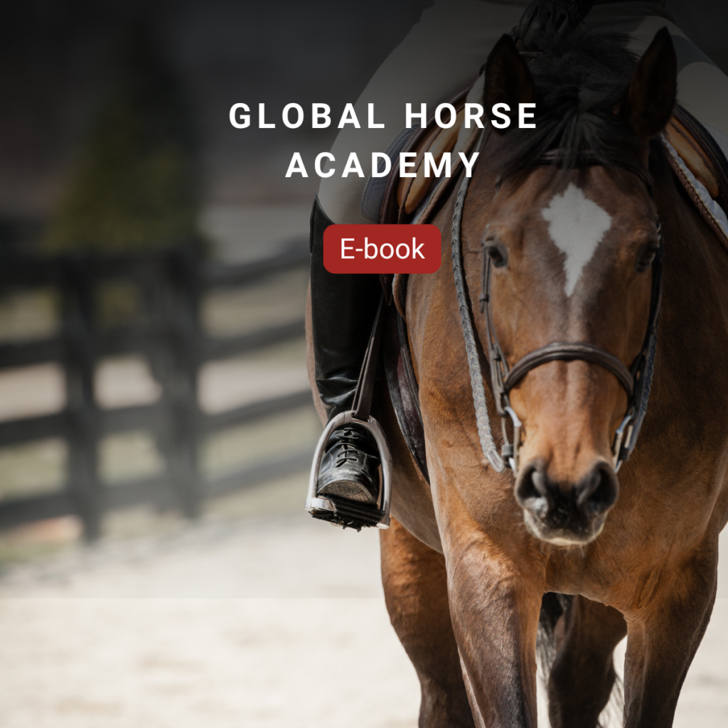 Paard met ruiter, Global Horse Academy branding zichtbaar