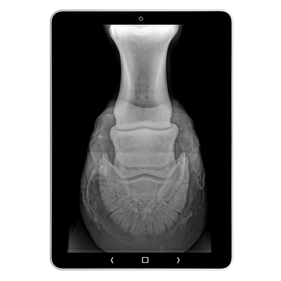 Tablet met röntgenopname van de hoef en het hoefbeen