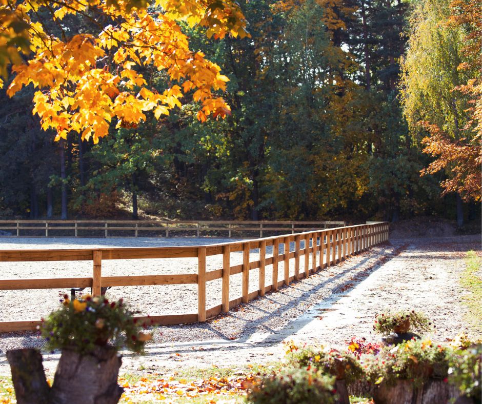 Paardenbak met houten omheining in herfstachtige omgeving